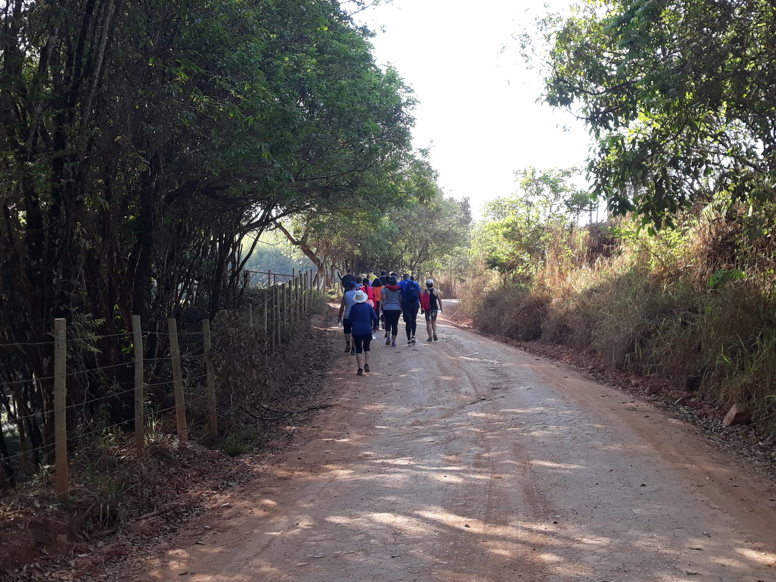 No momento você está vendo Caminhada do Meio Ambiente